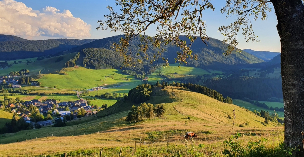 Sommer in Bernau 