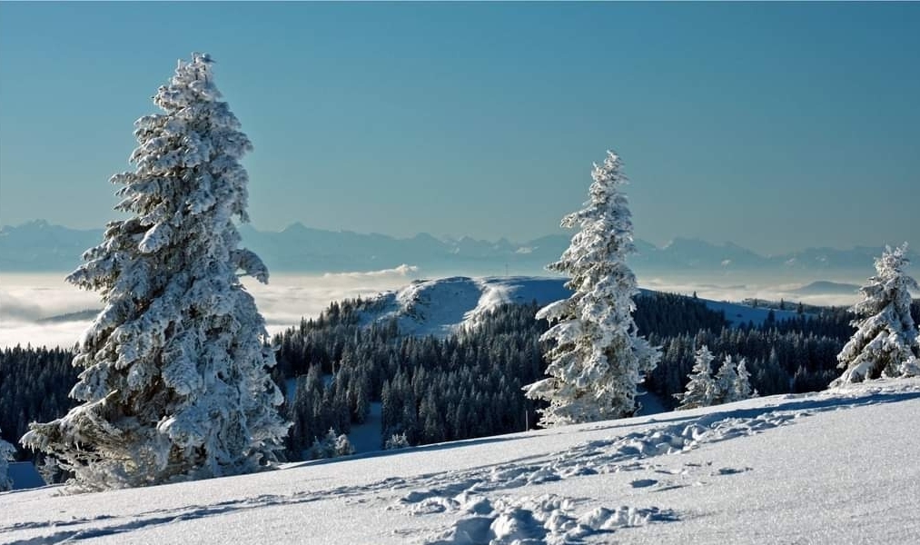 Winter in Bernau 