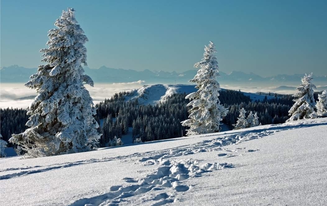 Winter in Bernau 